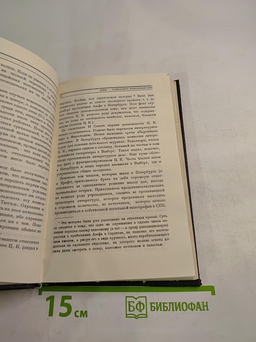 Провокатор: Воспоминания и документы о разоблачении Азефа