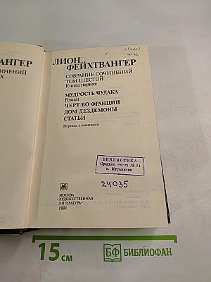 Собрание сочинений. Том шестой. Книга первая: Мудрость чудака. Черт во Франции. Дом Дездемоны. Статьи