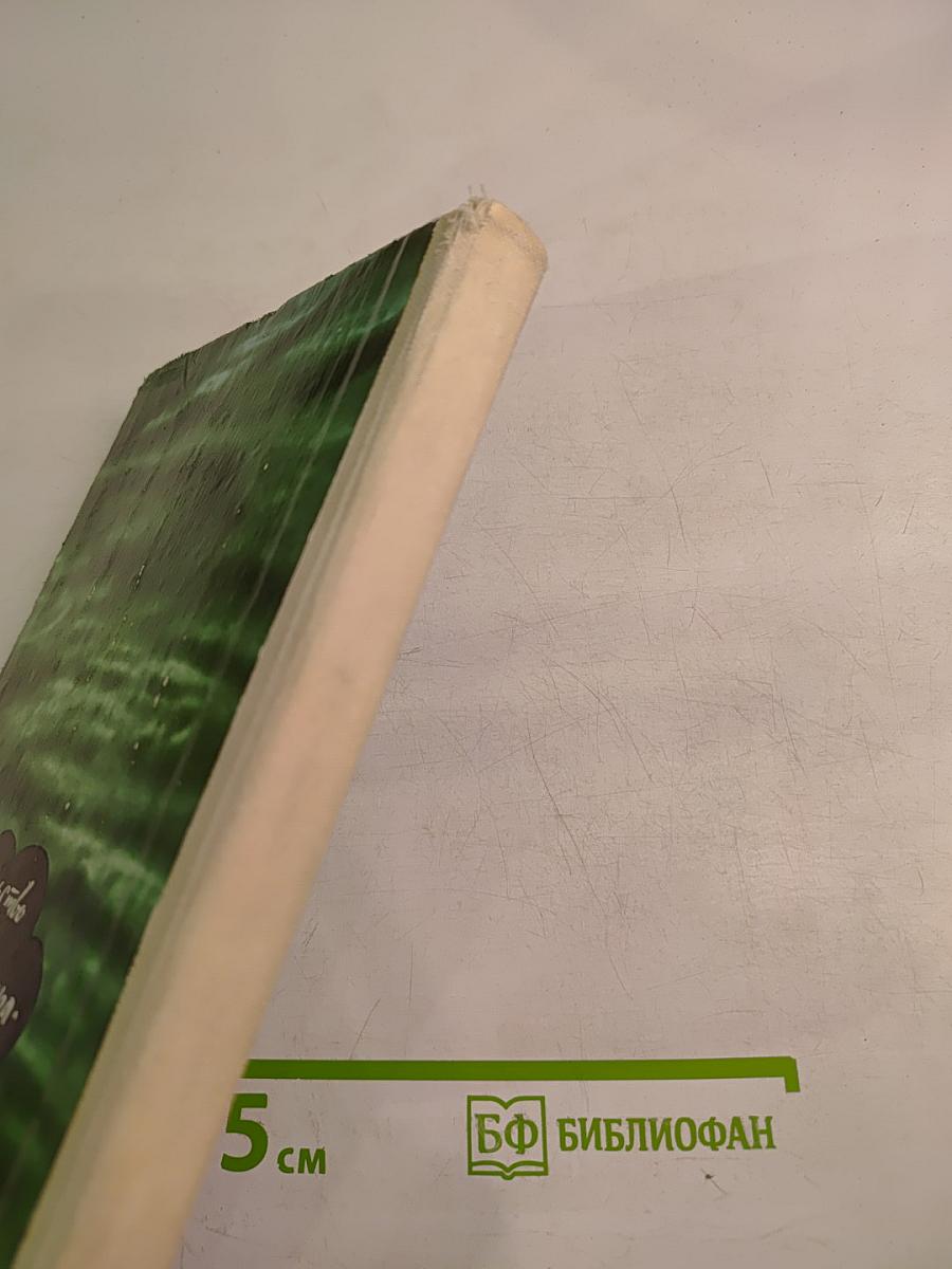 Страницы современной лирики