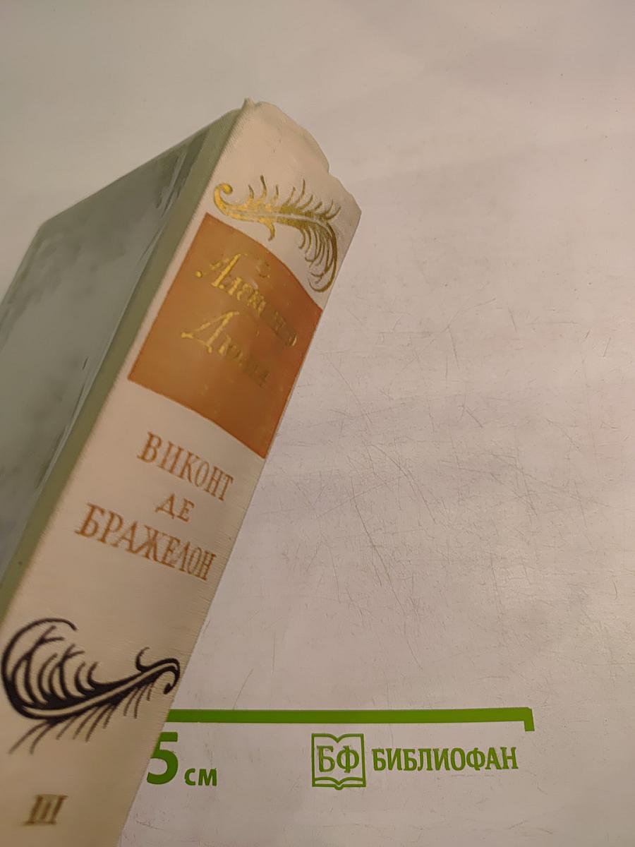 Виконт де Бражелон или Десять лет спустя. Том III