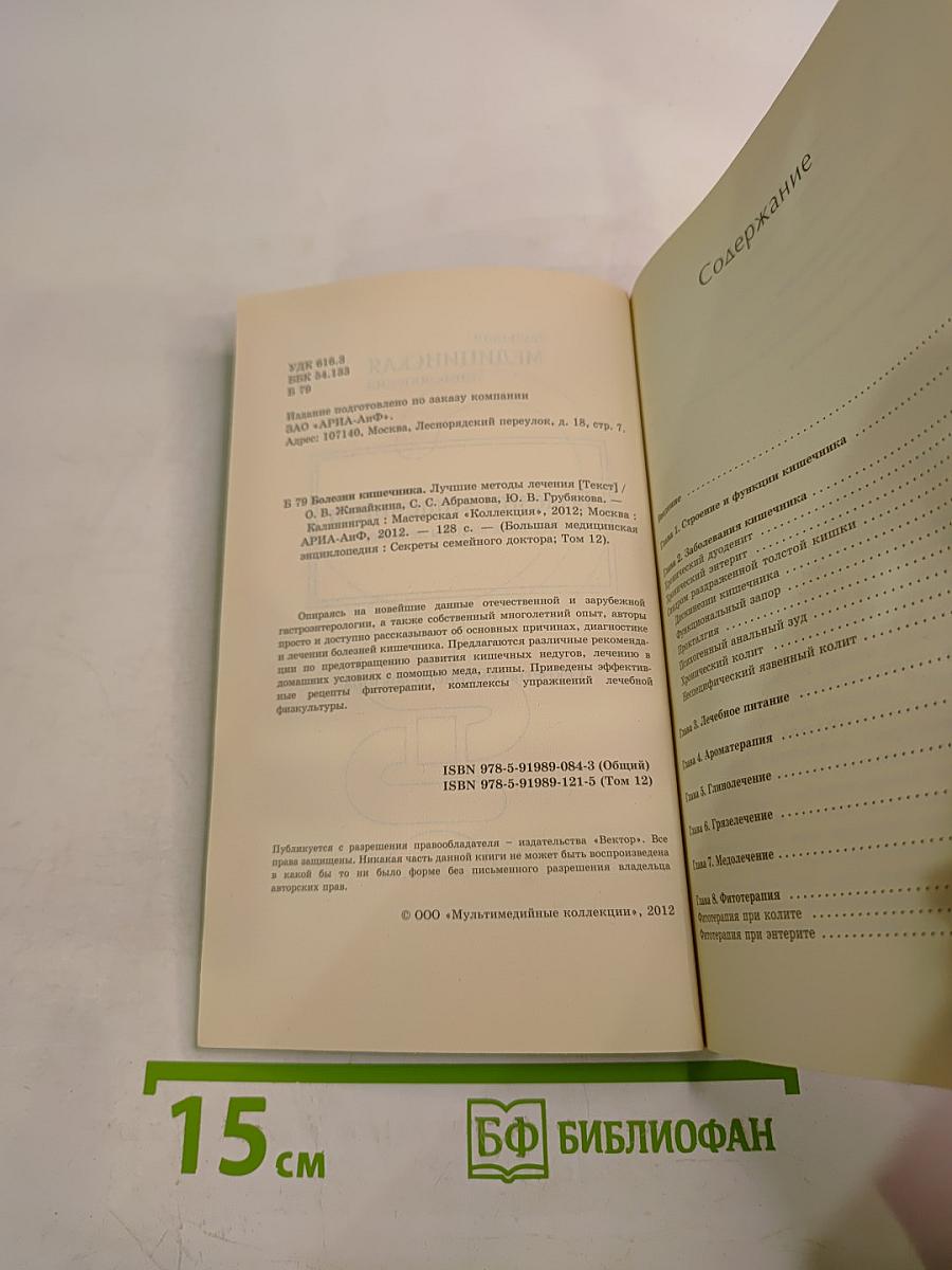 Большая медицинская энциклопедия. Болезни кишечника. Лучшие методы лечения
