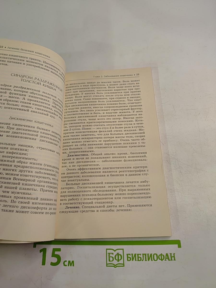 Большая медицинская энциклопедия. Болезни кишечника. Лучшие методы лечения
