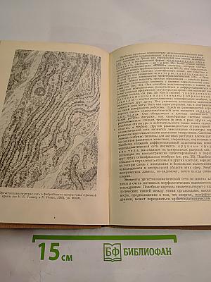 Введение в цитологию