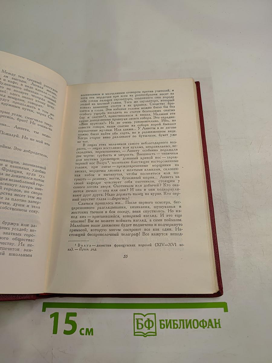 Собрание сочинений. Том девятый. Очарованная душа. Книга третья