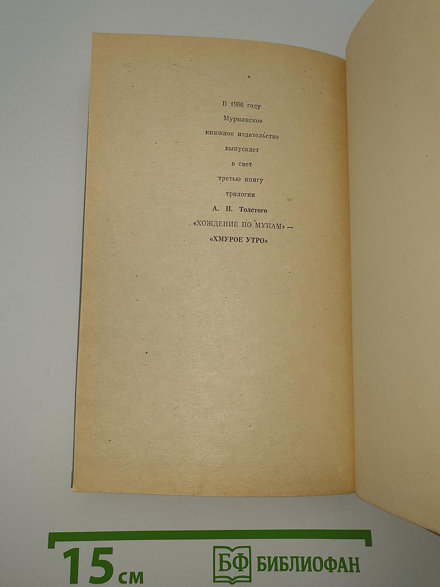 Хождение по мукам. Книга первая. Сестры