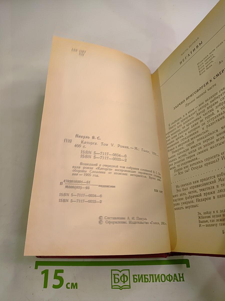 Каторга. Трагедия былого времени. Том V