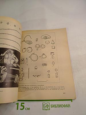 Некрополь Танаиса