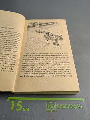 Ваша кошка. Содержание. Кормление. Лечение. Популярный справочник