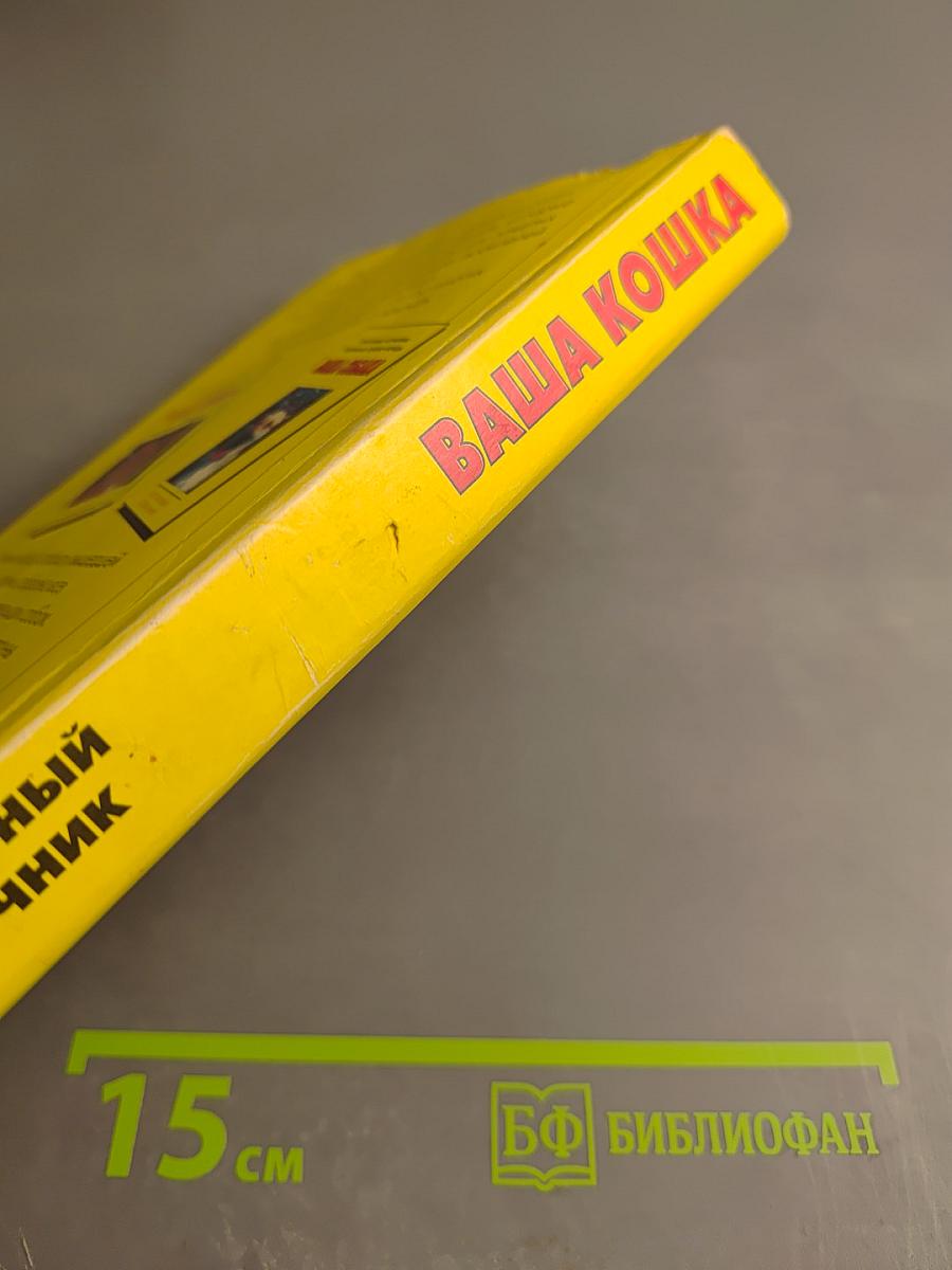 Ваша кошка. Содержание. Кормление. Лечение. Популярный справочник