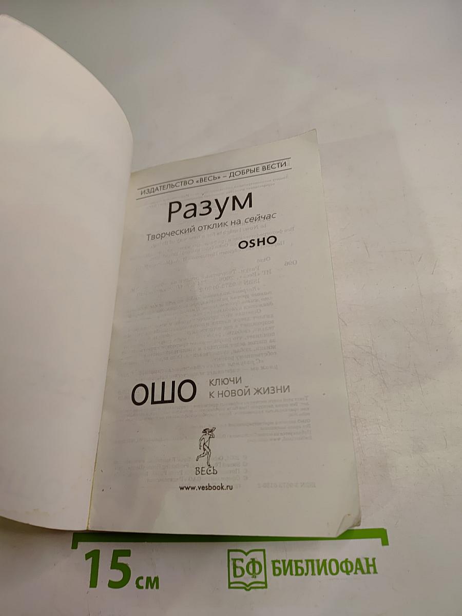 Разум. Творческий отклик на сейчас