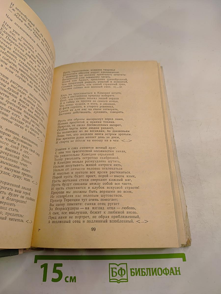 Хрестоматия по теории литературы