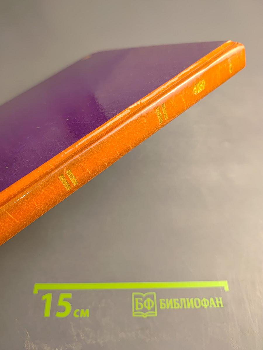 АБВ гуляли по Неве