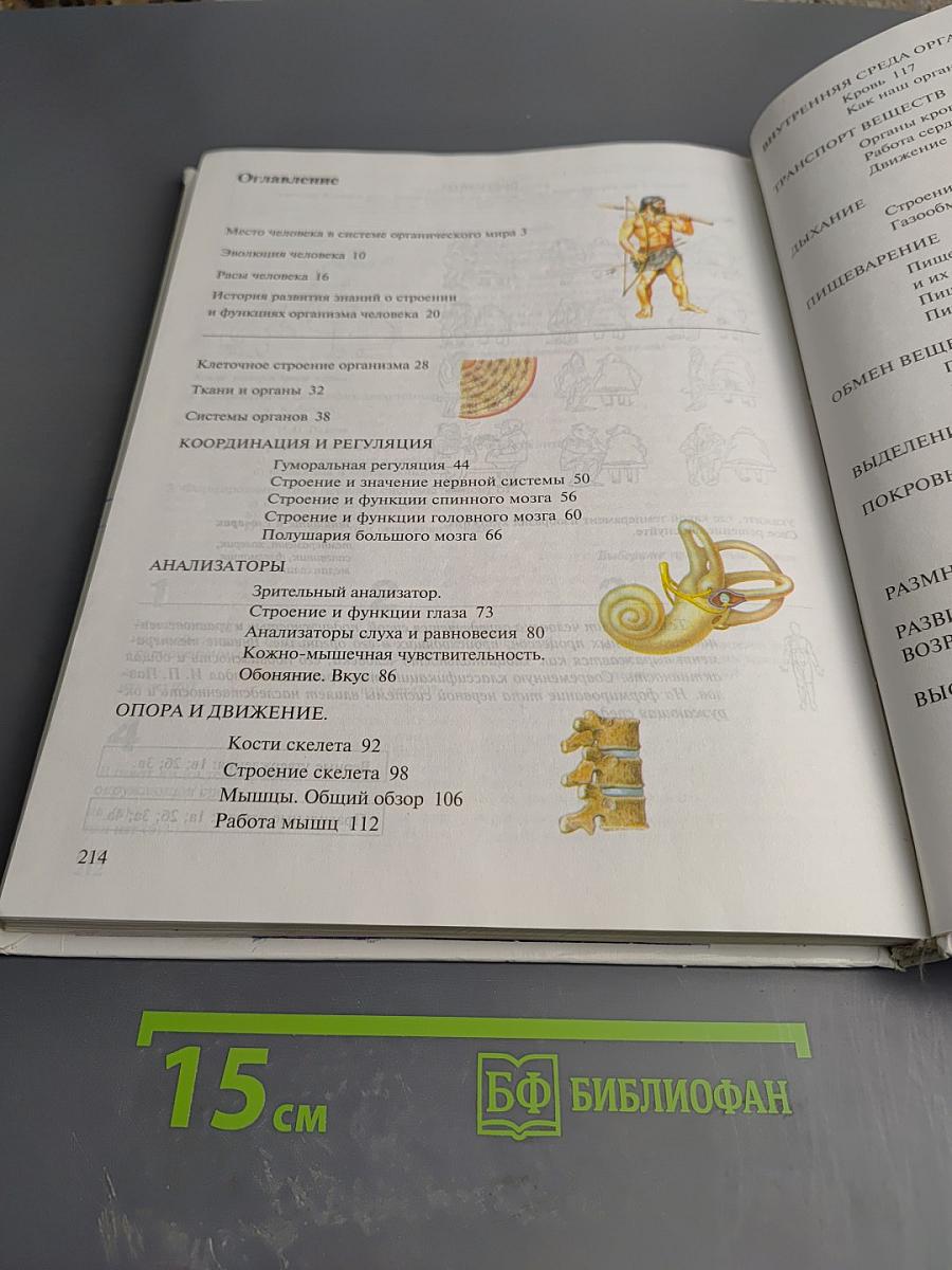 Биология Человек 8 класс