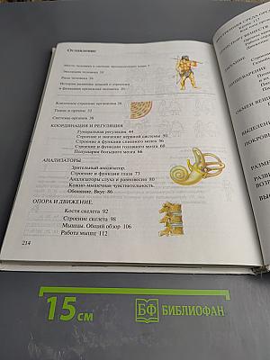 Биология Человек 8 класс