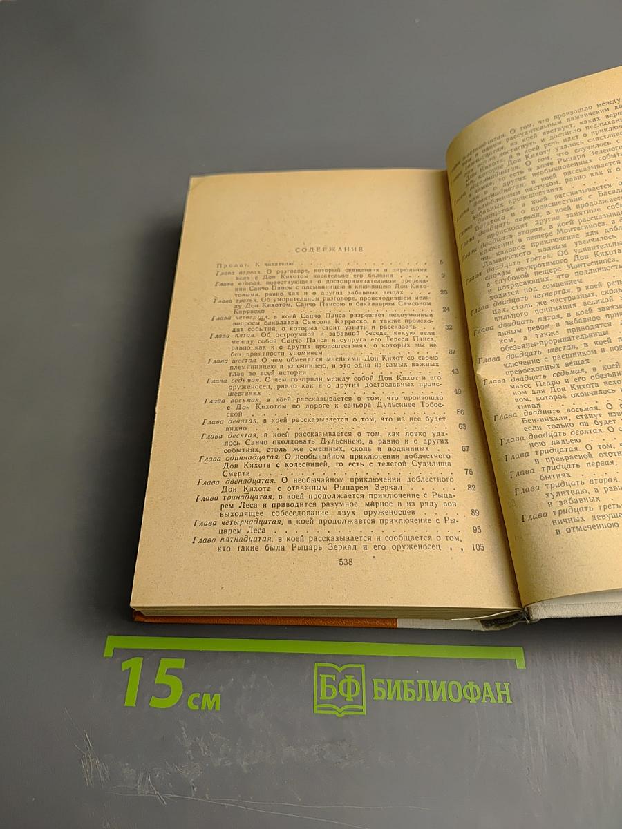 Дон Кихот Ламанчский. Часть вторая