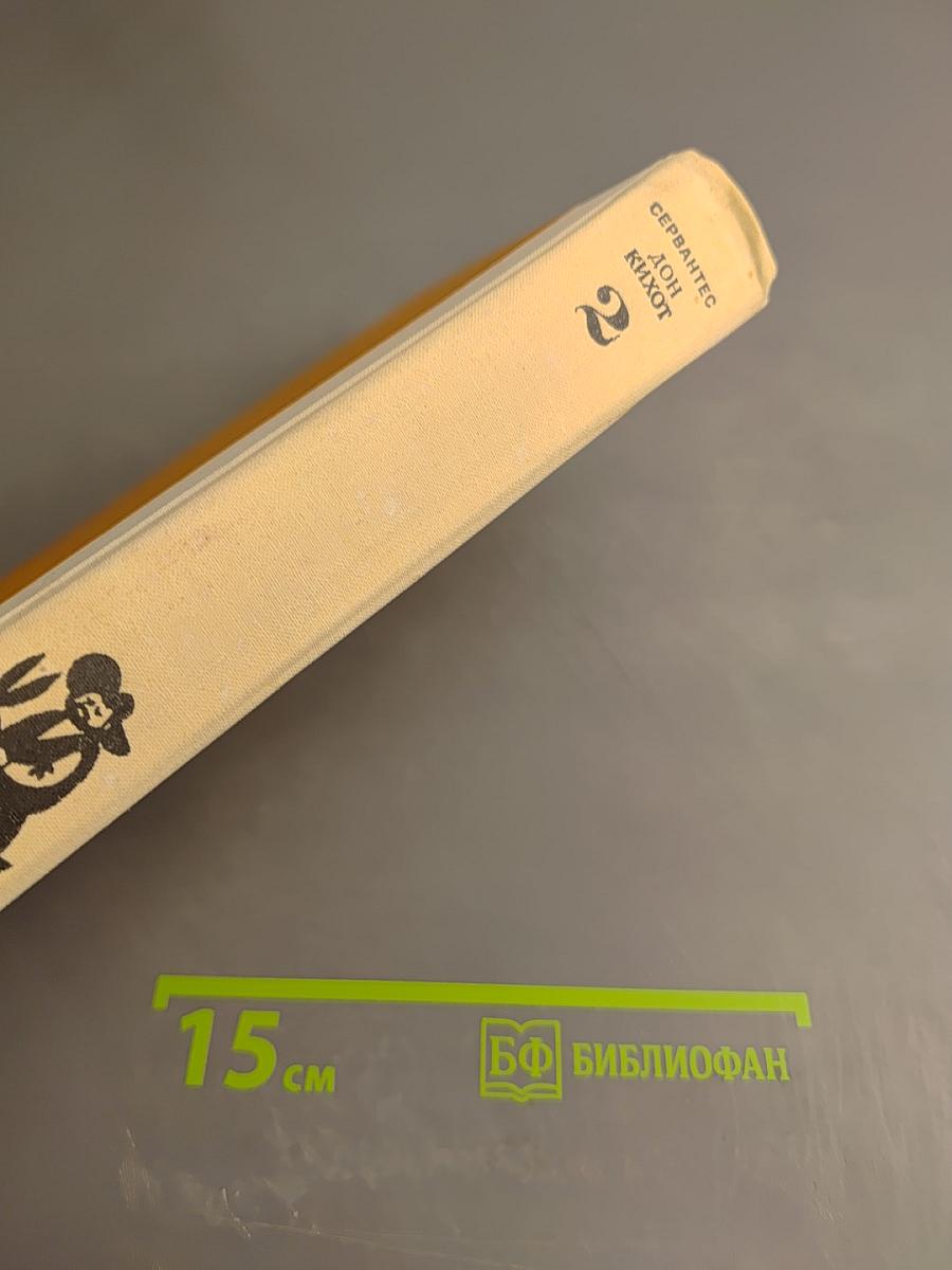 Дон Кихот Ламанчский. Часть вторая