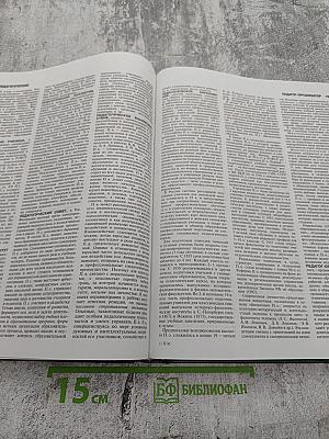 Педагогический энциклопедический словарь