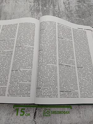 Педагогический энциклопедический словарь