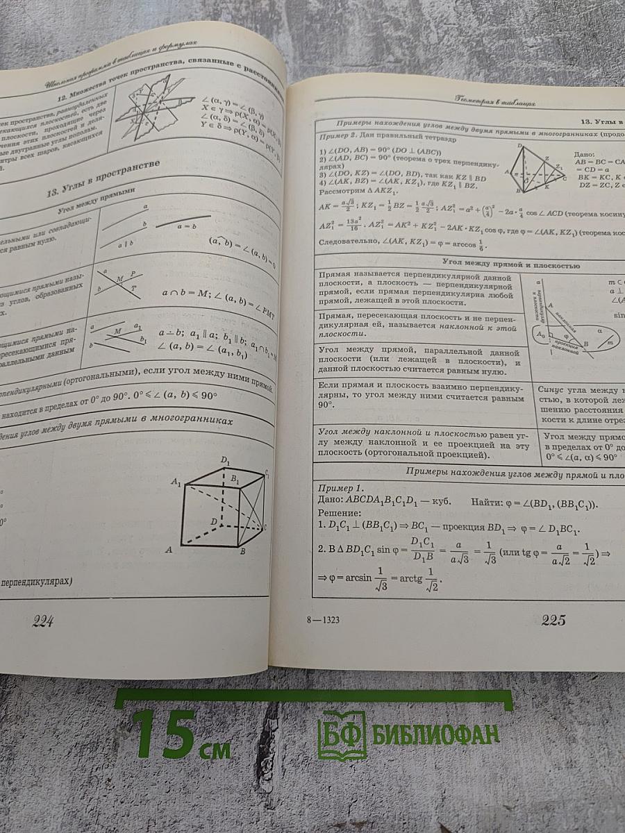 Школьная программа в таблицах и формулах. Большой универсальный справочник