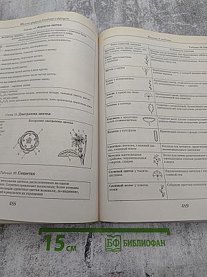 Школьная программа в таблицах и формулах. Большой универсальный справочник