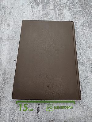 Царица Прасковья