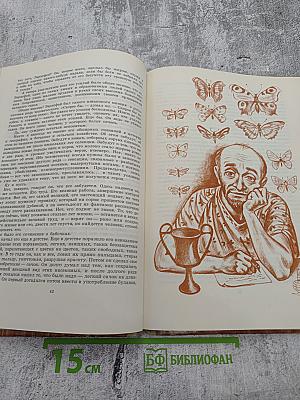 Золотые яблоки Гесперид