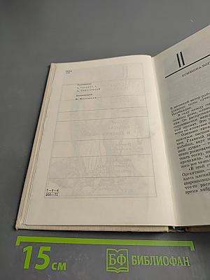 Избранное в 2-х томах. Том 2. Жизнь идиота и другие новеллы