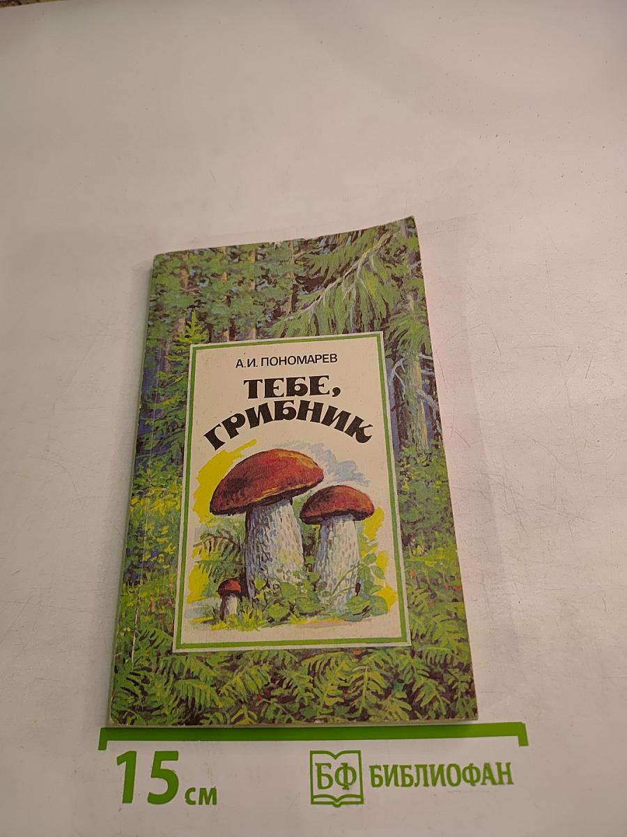 Тебе, грибник