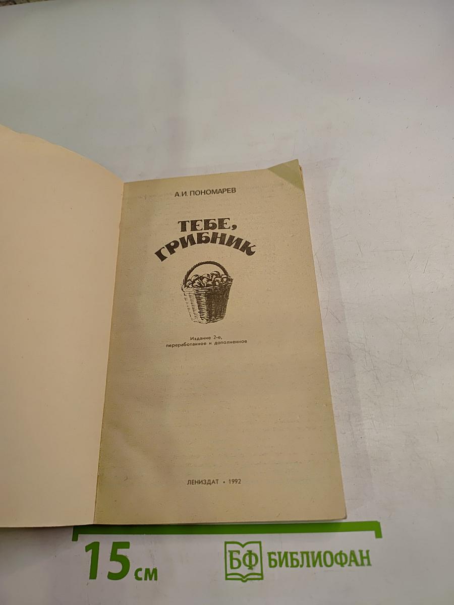 Тебе, грибник