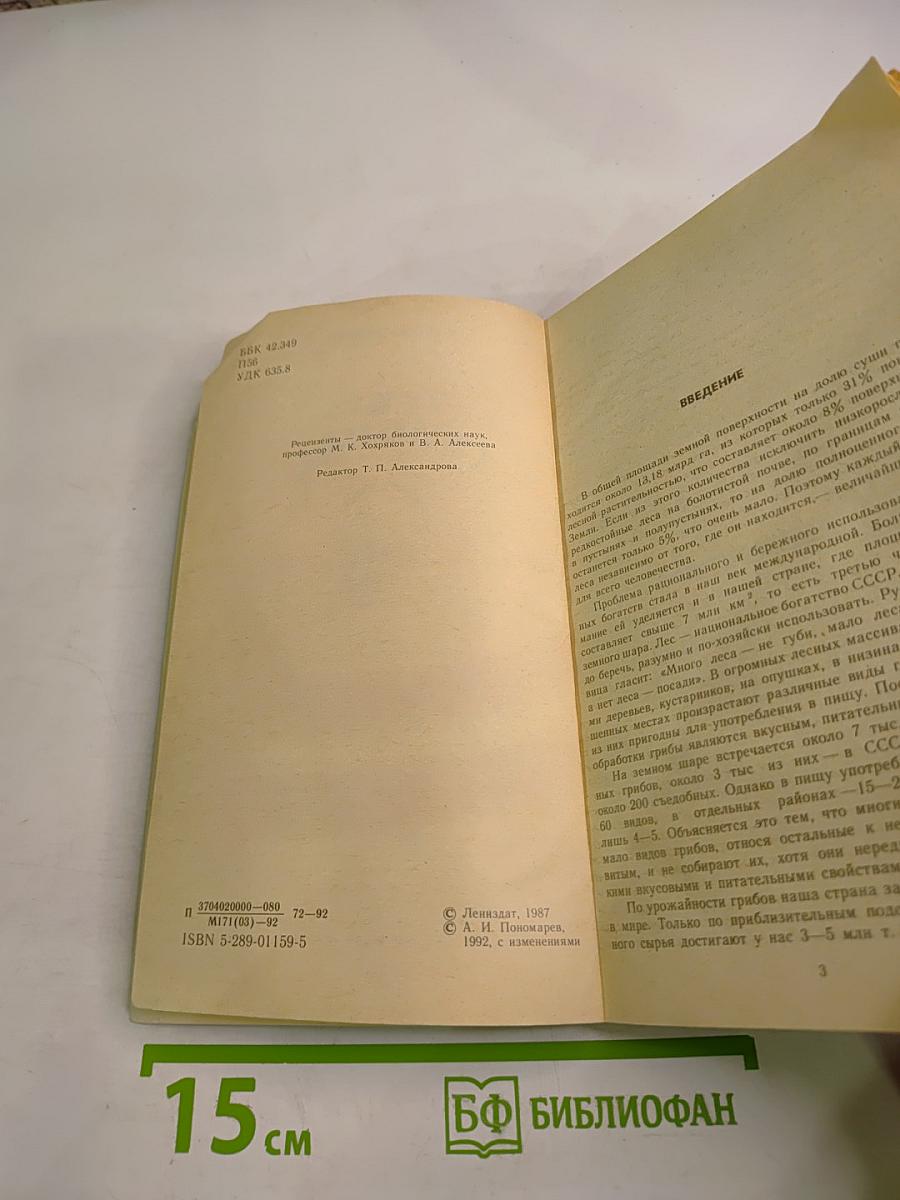 Тебе, грибник