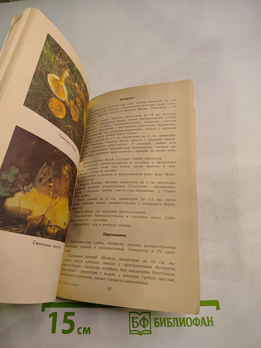 Тебе, грибник