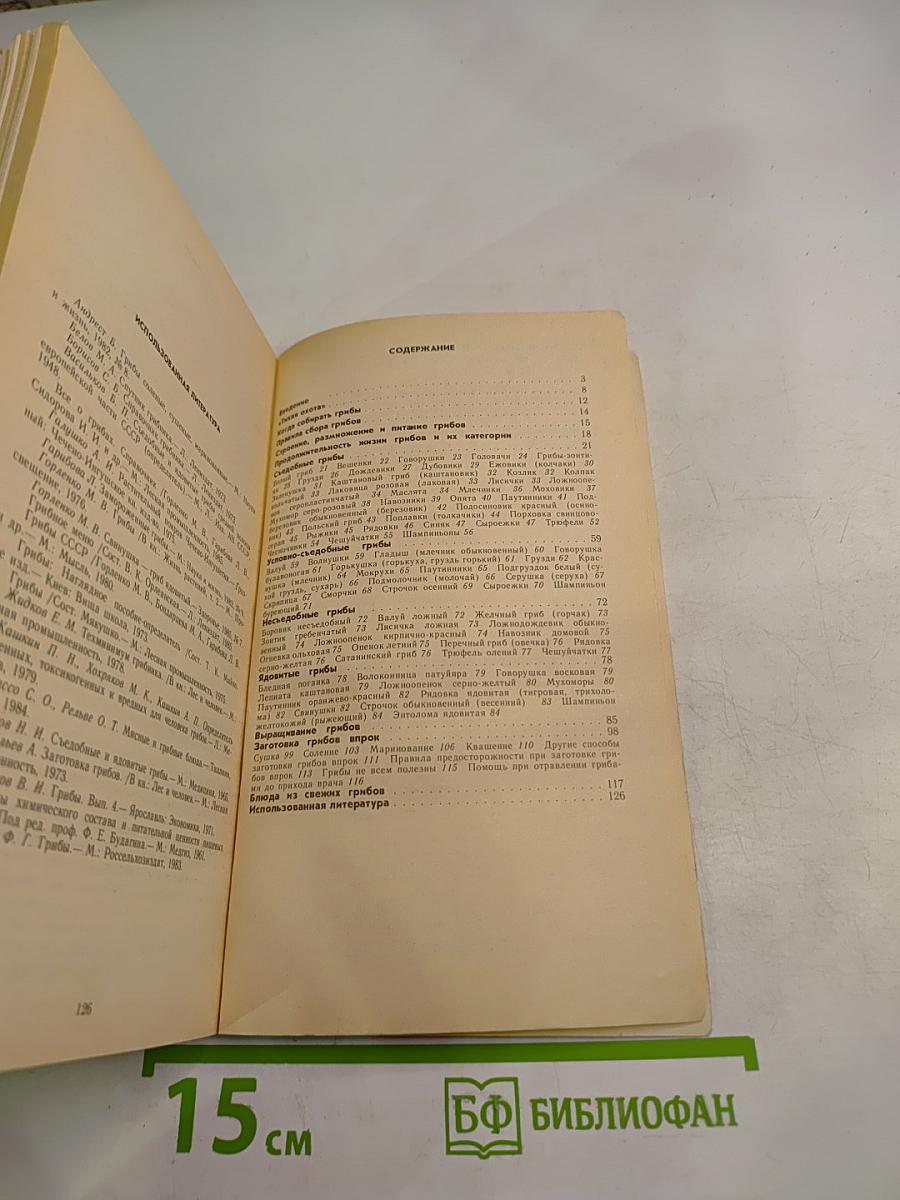 Тебе, грибник