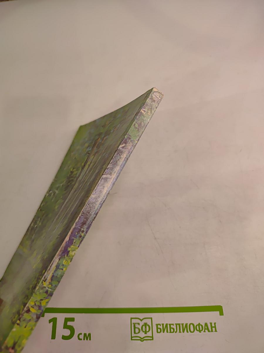 Тебе, грибник