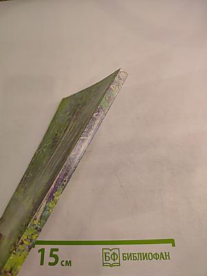 Тебе, грибник