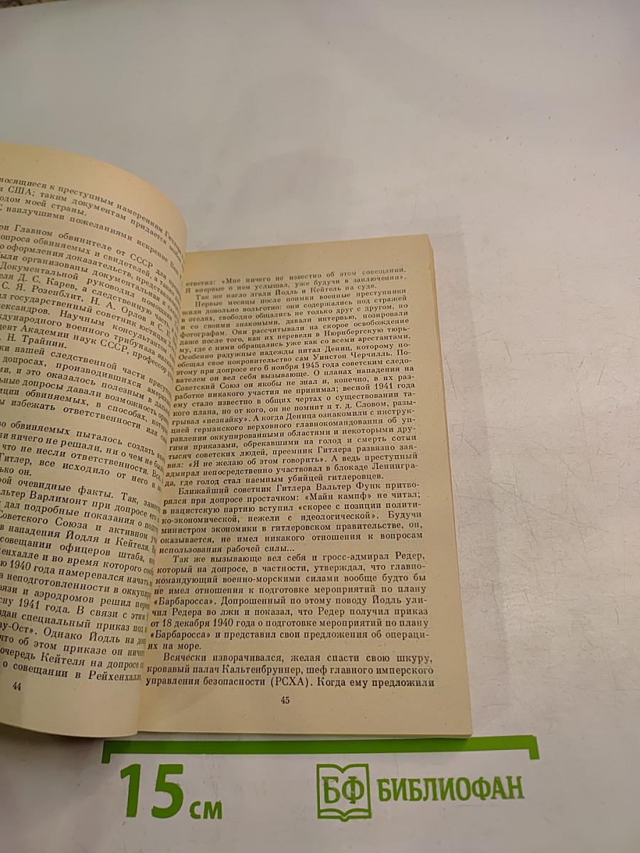 Нюрнберг: Перед судом истории