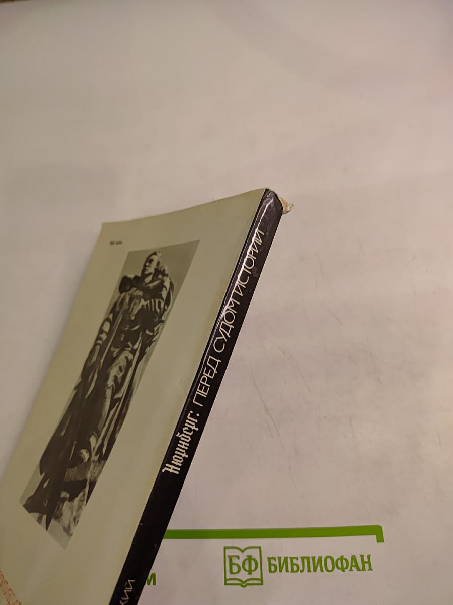 Нюрнберг: Перед судом истории