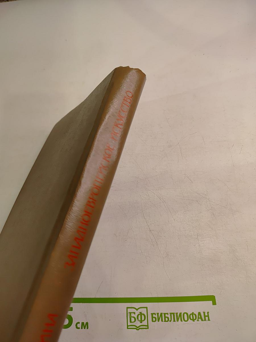 История искусств. Западно-европейское искусство