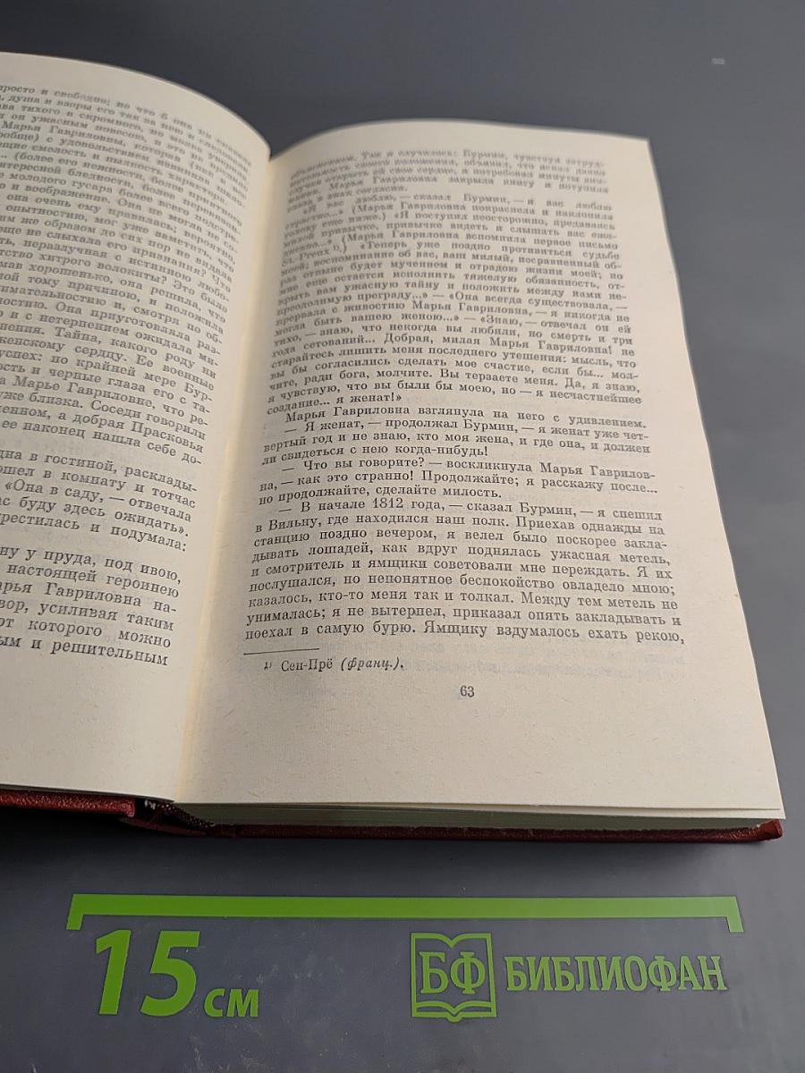 Собрание сочинений. Том пятый. Романы. Повести