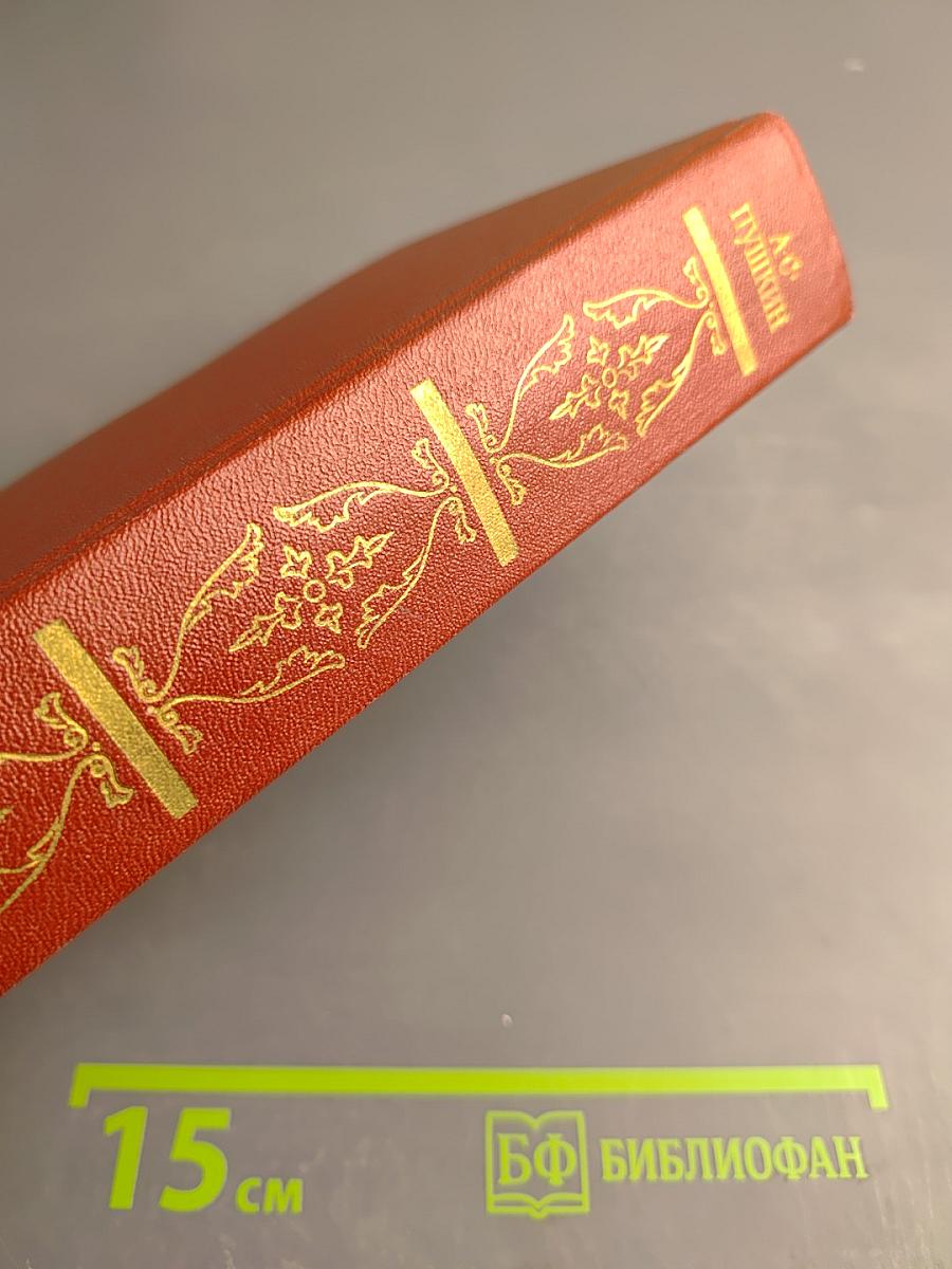 Собрание сочинений. Том пятый. Романы. Повести