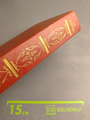 Собрание сочинений. Том пятый. Романы. Повести