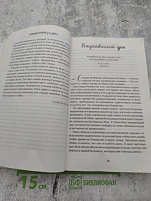 Куриный бульон для души: 101 Рождественская история
