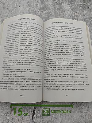 Куриный бульон для души: 101 Рождественская история