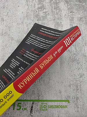 Куриный бульон для души: 101 Рождественская история