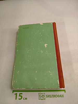 Флаги на башнях