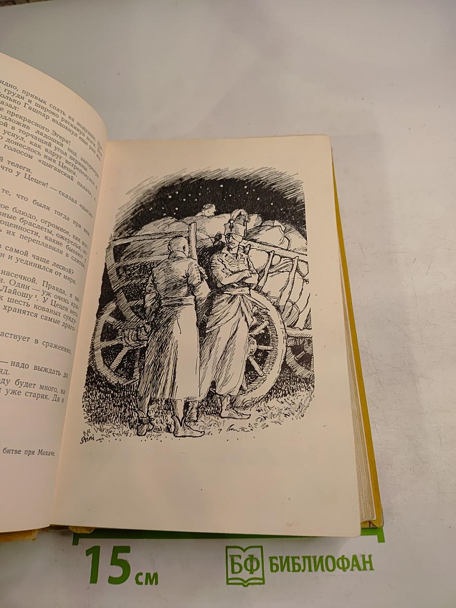 Звезды Эгера