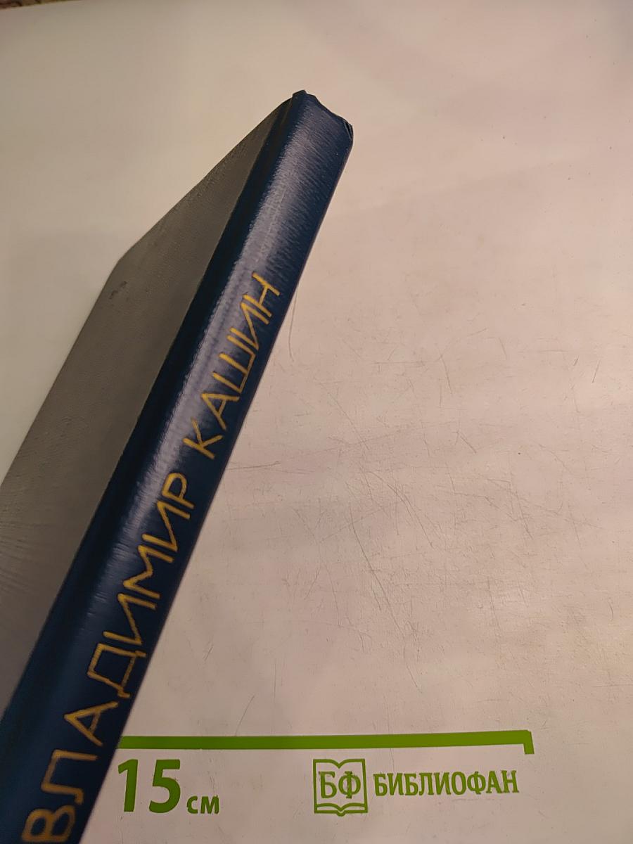 Справедливость - мое ремесло. Книга третья