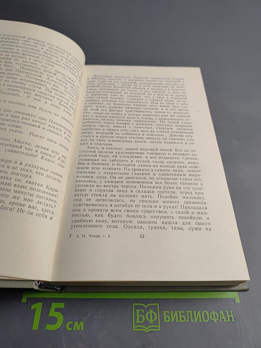 Собрание сочинений. Том пятый: Рассказы 1887