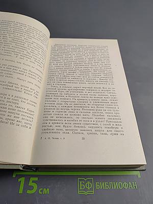 Собрание сочинений. Том пятый: Рассказы 1887