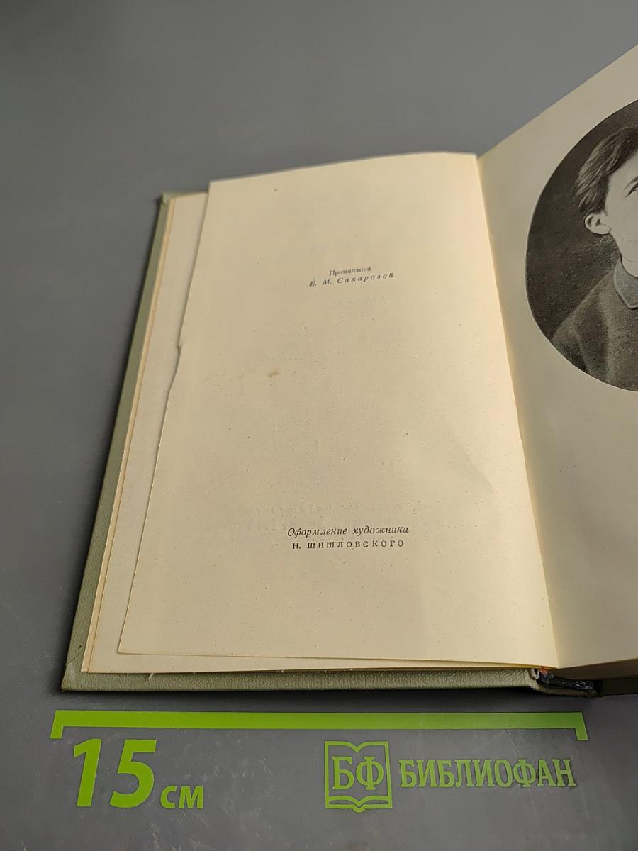 Собрание сочинений. Том пятый: Рассказы 1887