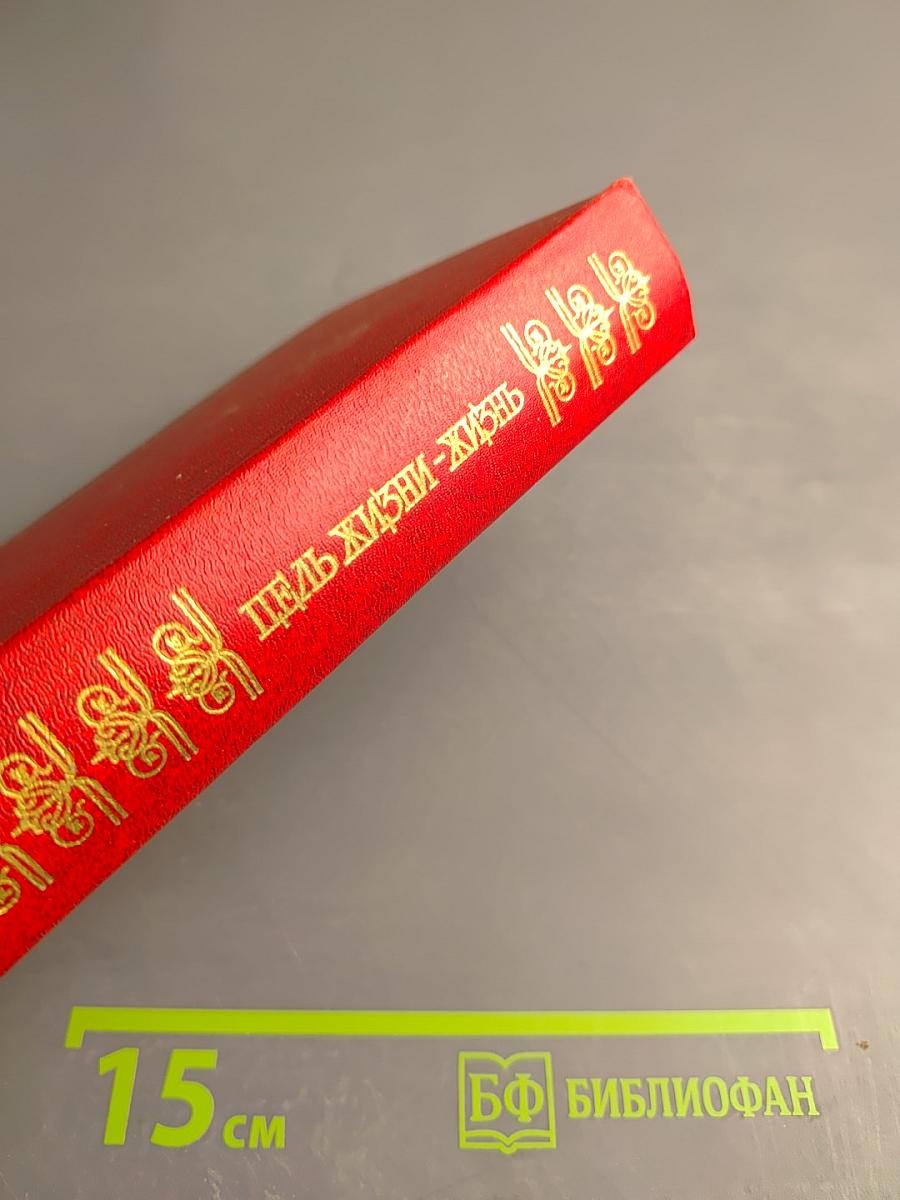 Цель жизни - жизнь